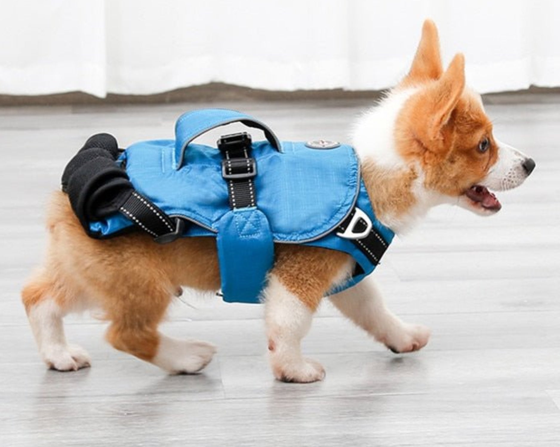 Dog Chest Carrier Harness Backpack with Walking Lead - Best Buddy Store