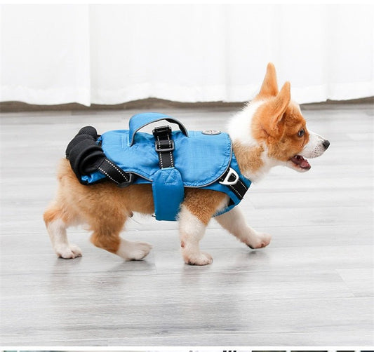 Dog Chest Carrier Harness Backpack with Walking Lead - Best Buddy Store