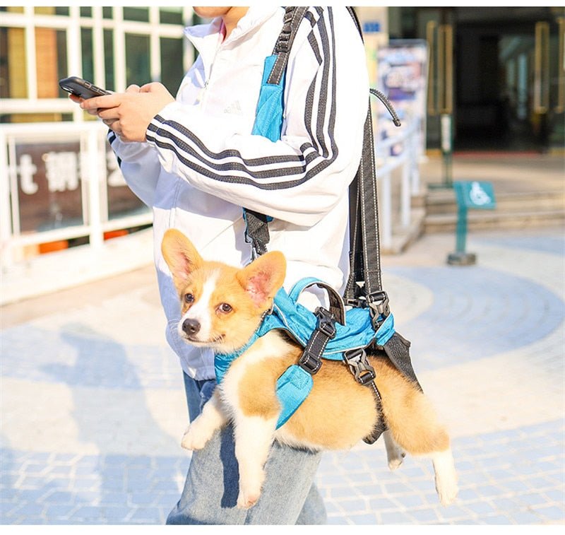 Dog Chest Carrier Harness Backpack with Walking Lead - Best Buddy Store