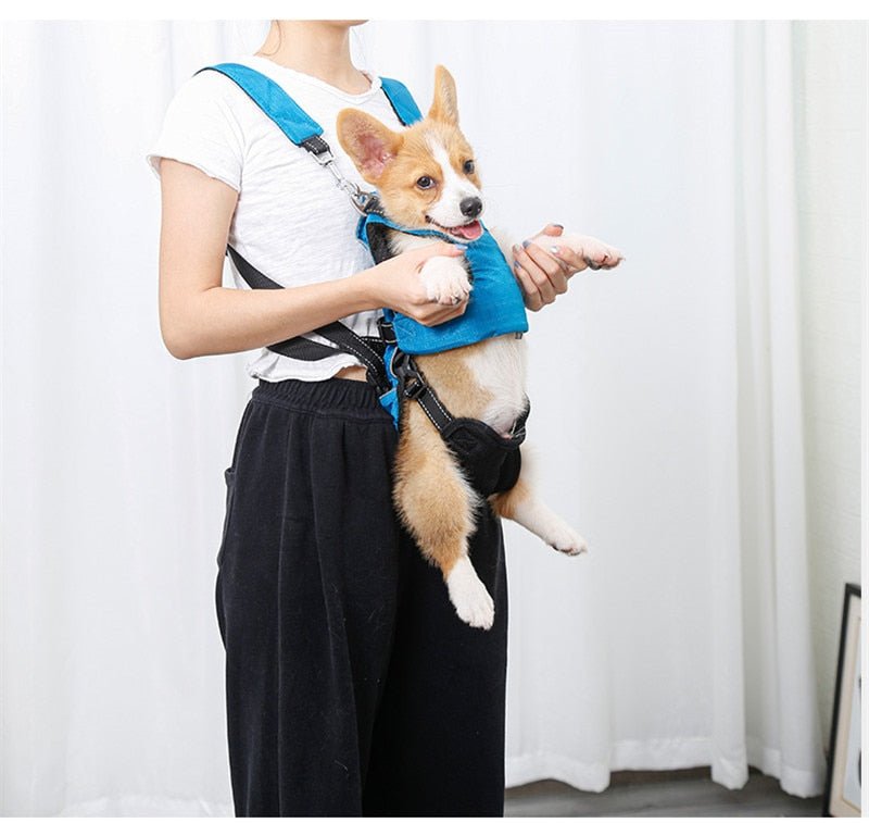 Dog Chest Carrier Harness Backpack with Walking Lead - Best Buddy Store