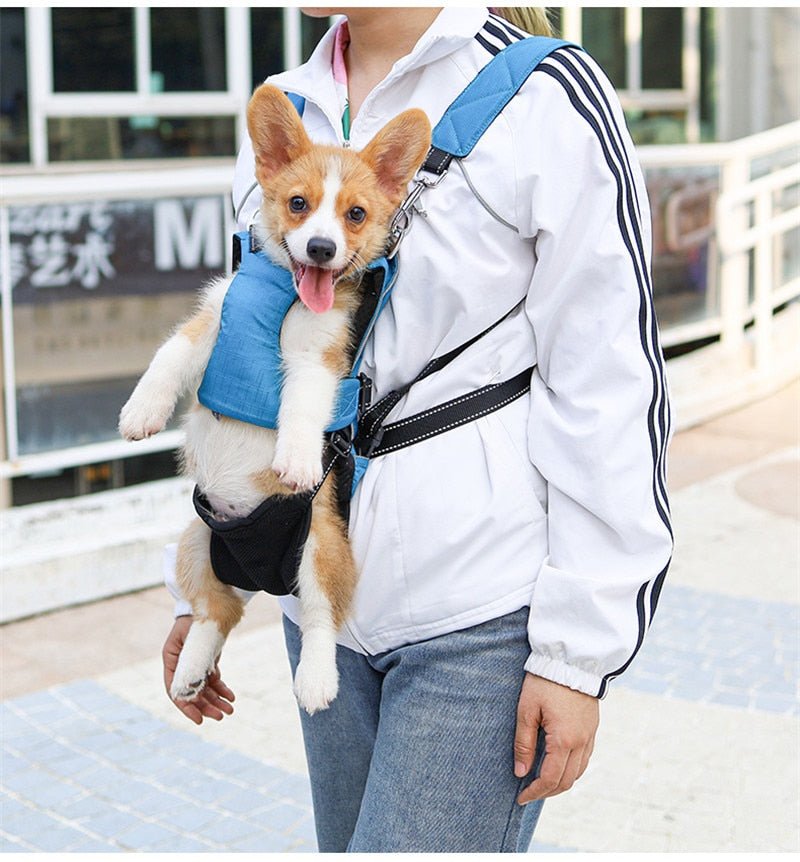 Dog Chest Carrier Harness Backpack with Walking Lead - Best Buddy Store