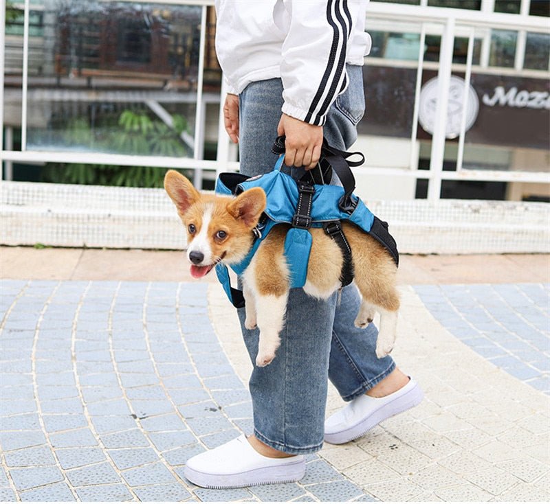 Dog Chest Carrier Harness Backpack with Walking Lead - Best Buddy Store