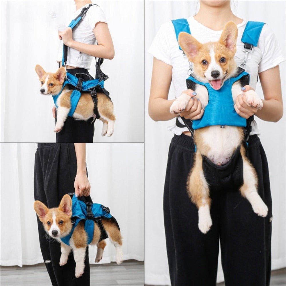 Dog Chest Carrier Harness Backpack with Walking Lead - Best Buddy Store