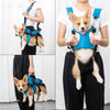 Dog Chest Carrier Harness Backpack with Walking Lead - Best Buddy Store