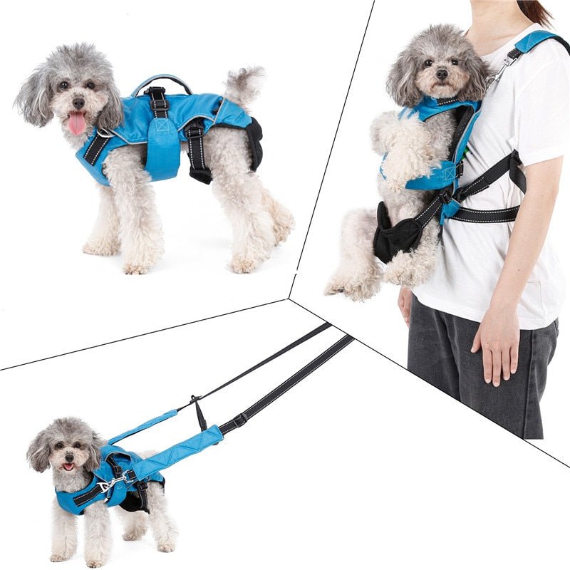 Dog Chest Carrier Harness Backpack with Walking Lead - Best Buddy Store