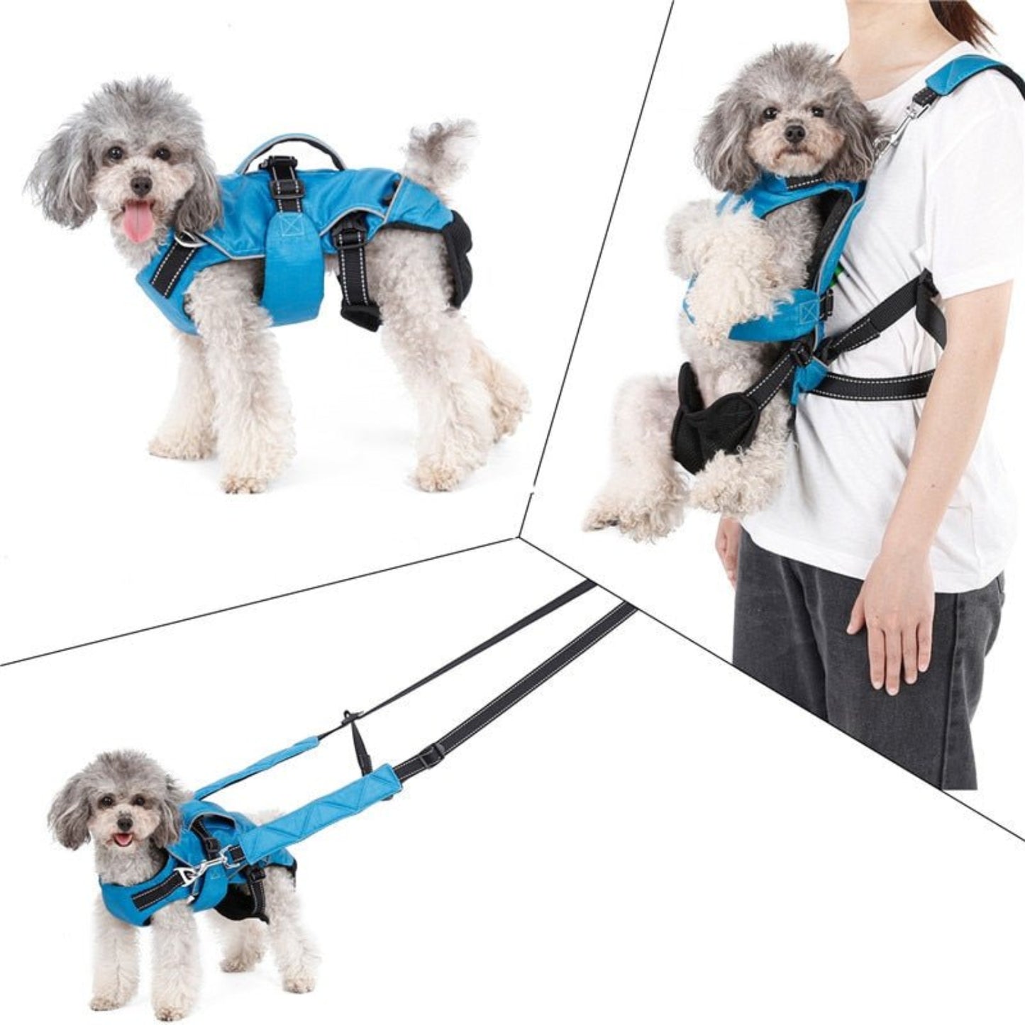 Dog Chest Carrier Harness Backpack with Walking Lead - Best Buddy Store
