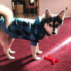 Dog Hoodie Sweaters with Hat - Best Buddy Store