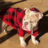 Dog Hoodie Sweaters with Hat - Best Buddy Store