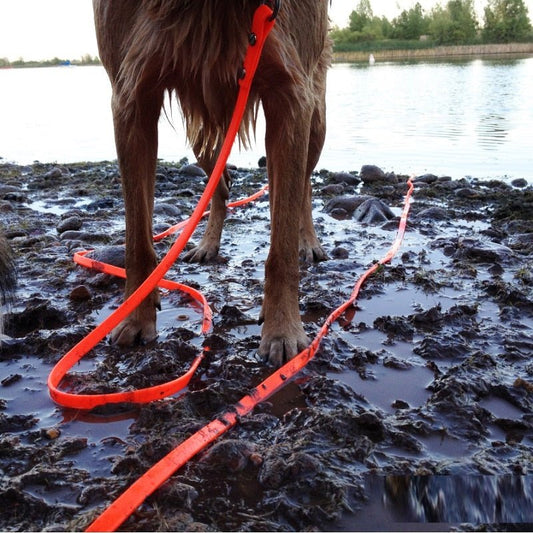 Dog Leash Outdoor Waterproof Durable Training Rope - Best Buddy Store