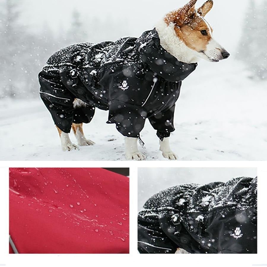 Dog Outdoor Waterproof Reflective Raincoat Medium Large Dogs - Best Buddy Store