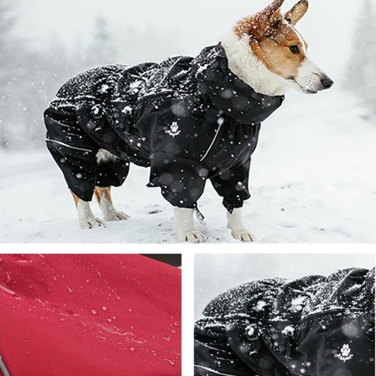 Dog Outdoor Waterproof Reflective Raincoat Medium Large Dogs - Best Buddy Store
