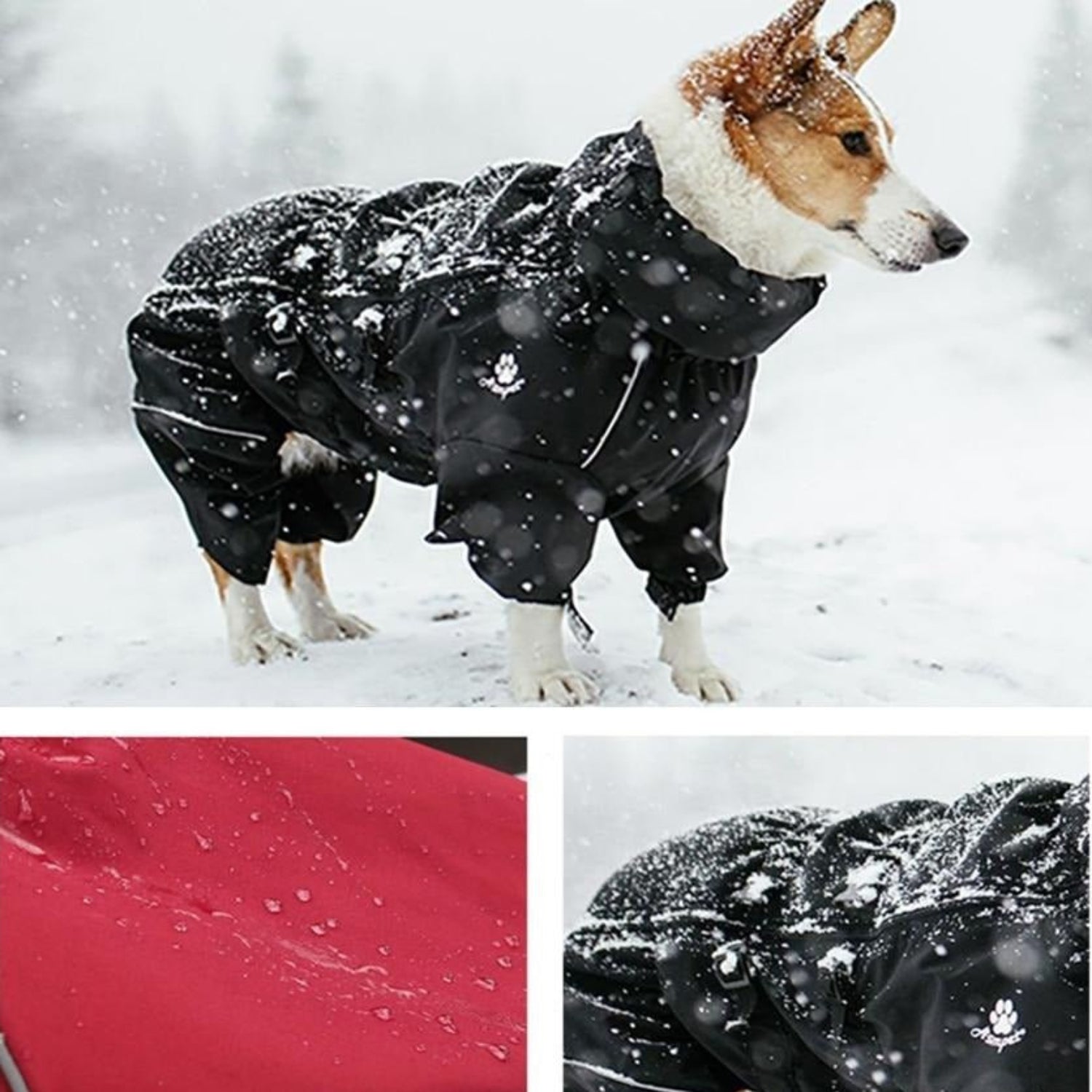 Dog Outdoor Waterproof Reflective Raincoat Medium Large Dogs - Best Buddy Store