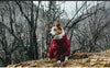 Dog Outdoor Waterproof Reflective Raincoat Medium Large Dogs - Best Buddy Store