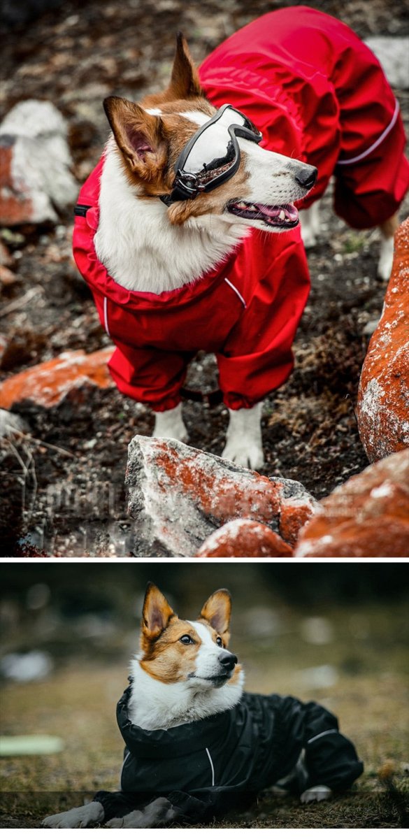 Dog Outdoor Waterproof Reflective Raincoat Medium Large Dogs - Best Buddy Store