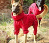 Dog Outdoor Waterproof Reflective Raincoat Medium Large Dogs - Best Buddy Store