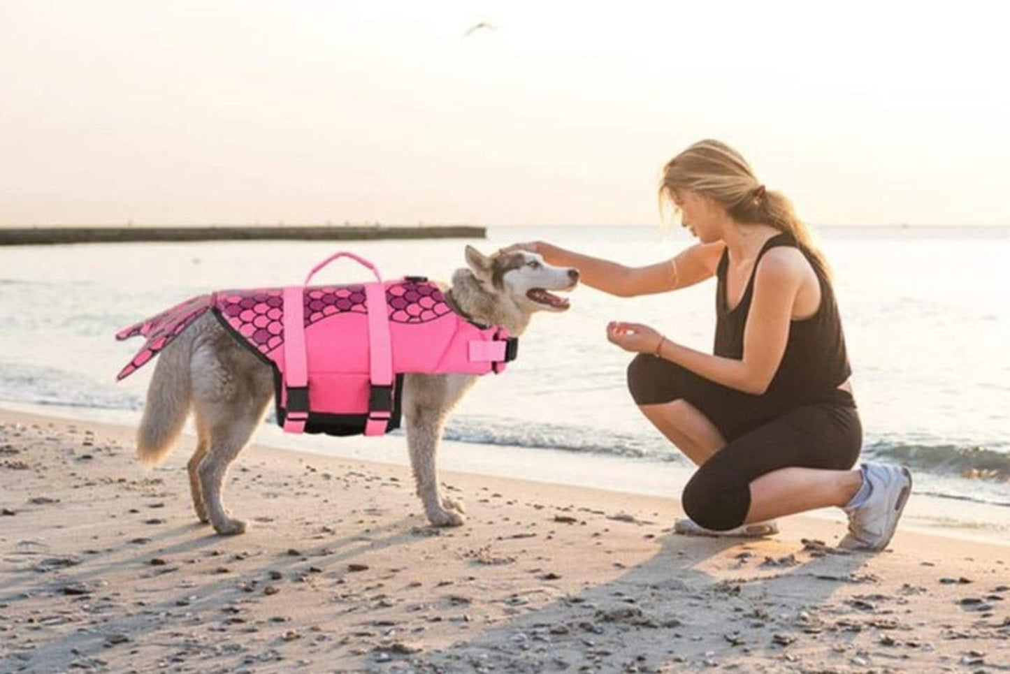 Dog Shark Life Jacket Swimsuit Vest - Best Buddy Store