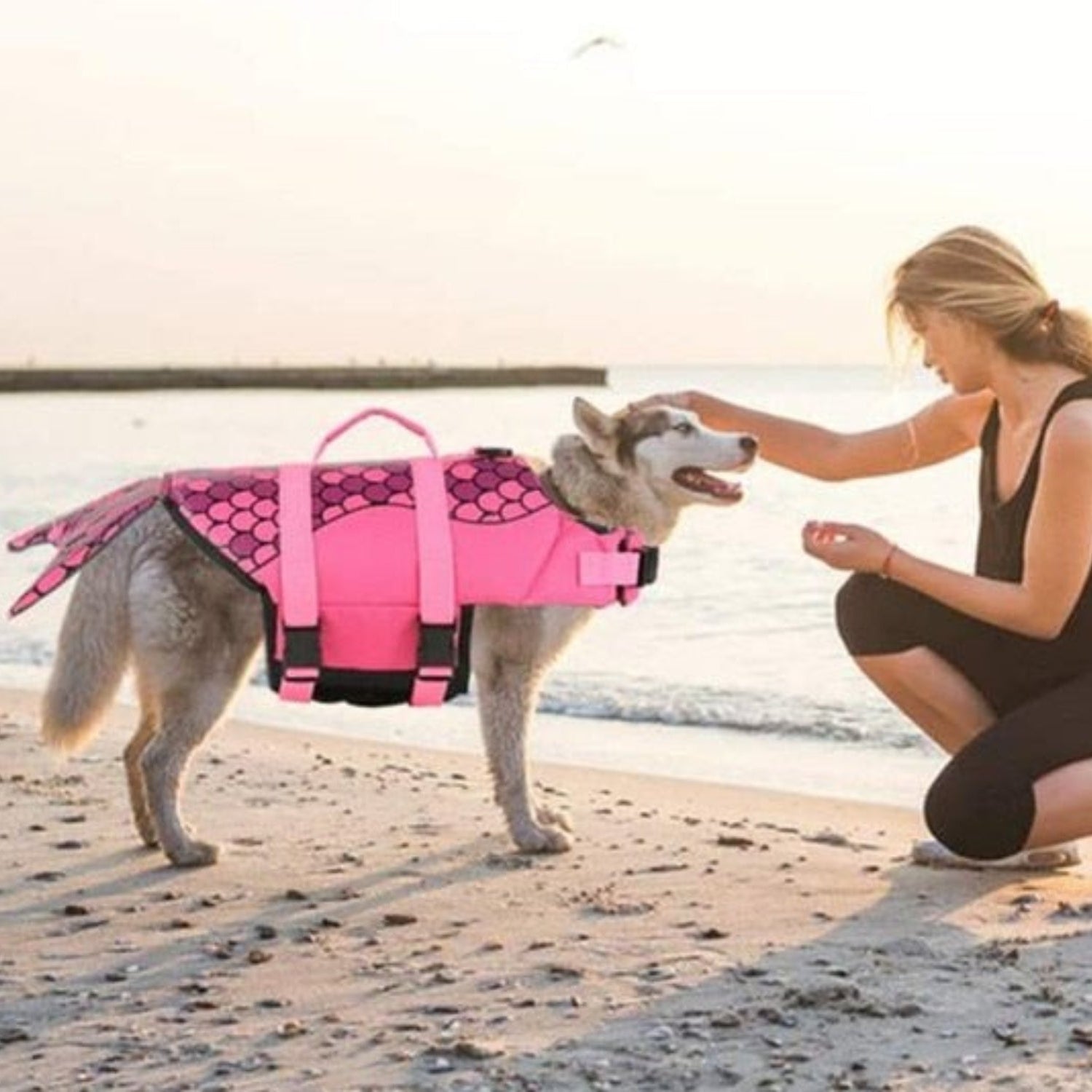 Dog Shark Life Jacket Swimsuit Vest - Best Buddy Store