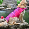 Dog Shark Life Jacket Swimsuit Vest - Best Buddy Store