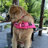 Dog Shark Life Jacket Swimsuit Vest - Best Buddy Store