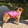 Dog Shark Life Jacket Swimsuit Vest - Best Buddy Store