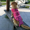 Dog Shark Life Jacket Swimsuit Vest - Best Buddy Store