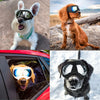 Dog Sunglasses Goggles Large & Small Breed - Best Buddy Store