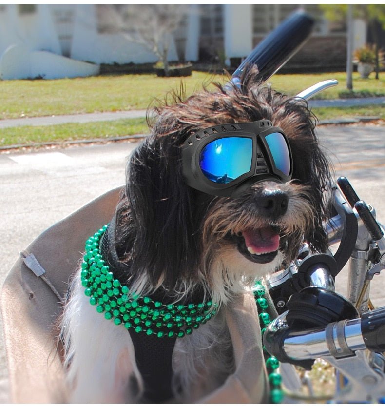 Dog Sunglasses Goggles Large & Small Breed - Best Buddy Store