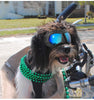 Dog Sunglasses Goggles Large & Small Breed - Best Buddy Store