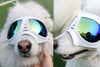 Dog Sunglasses Goggles Large & Small Breed - Best Buddy Store