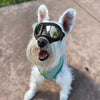 Dog Sunglasses Goggles Large & Small Breed - Best Buddy Store
