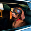 Dog Sunglasses Goggles Large & Small Breed - Best Buddy Store