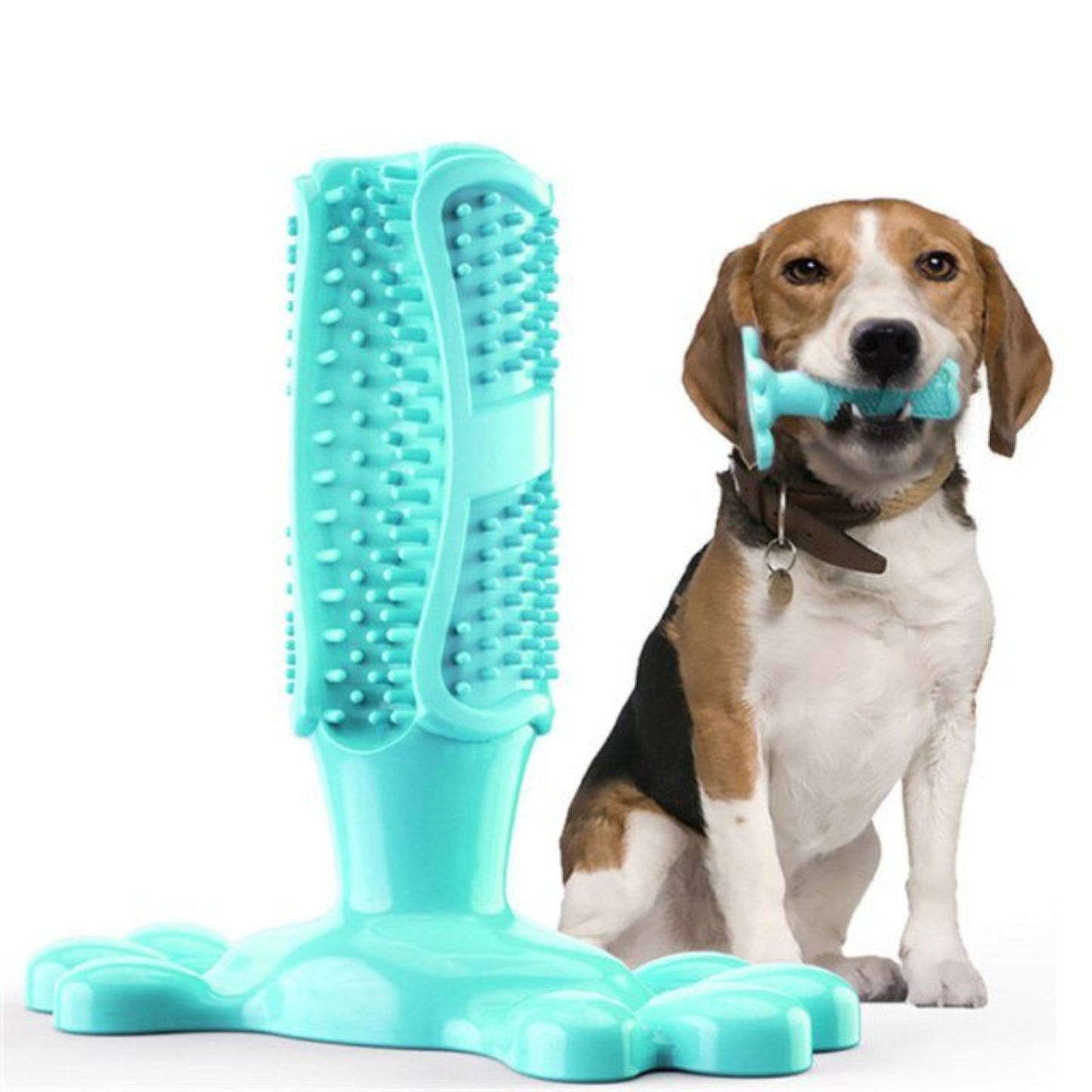 Dog Toothbrush Dental Care Molar Chewbrush - Best Buddy Store