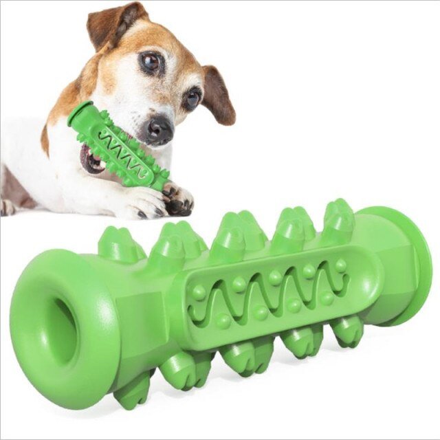 Dog Toothbrush Dental Care Molar Chewbrush - Best Buddy Store