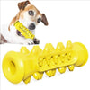 Dog Toothbrush Dental Care Molar Chewbrush - Best Buddy Store