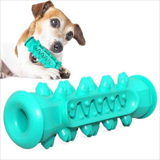 Dog Toothbrush Dental Care Molar Chewbrush - Best Buddy Store