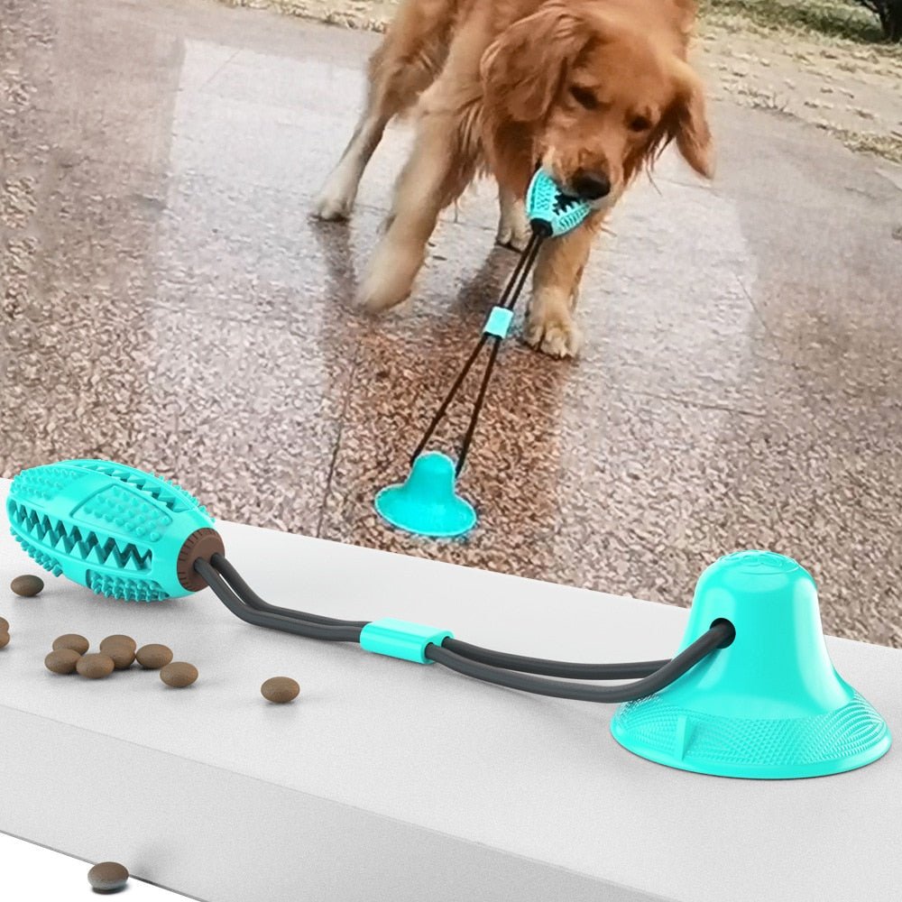 Dog Toy Push Ball Toy Leakage Food Toy Tooth Cleaning Toothbrush Toy - Best Buddy Store