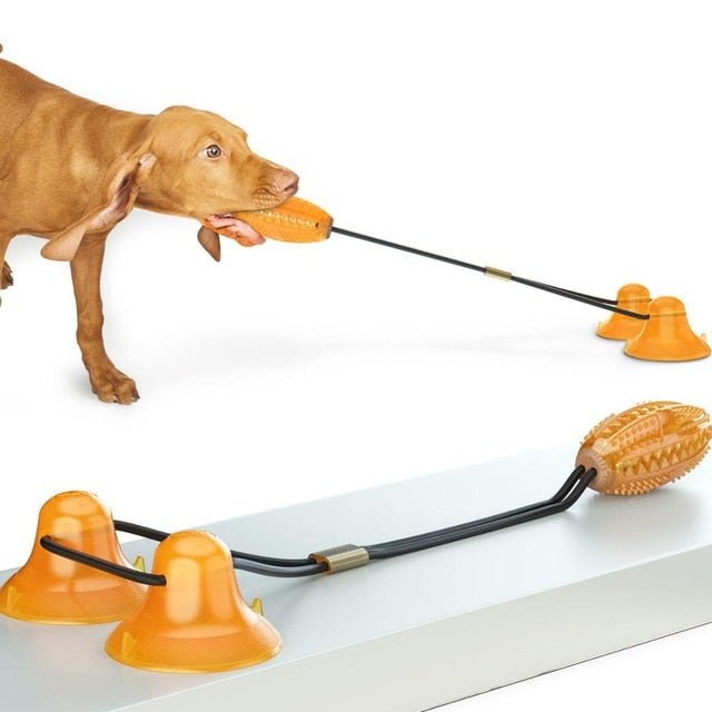 Dog Toy Push Ball Toy Leakage Food Toy Tooth Cleaning Toothbrush Toy - Best Buddy Store
