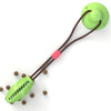 Dog Toy Push Ball Toy Leakage Food Toy Tooth Cleaning Toothbrush Toy - Best Buddy Store