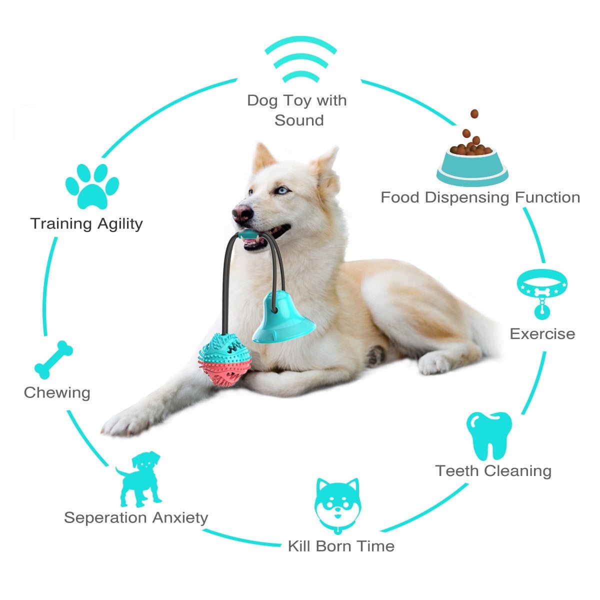 Dog Toy Push Ball Toy Leakage Food Toy Tooth Cleaning Toothbrush Toy - Best Buddy Store