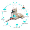 Dog Toy Push Ball Toy Leakage Food Toy Tooth Cleaning Toothbrush Toy - Best Buddy Store