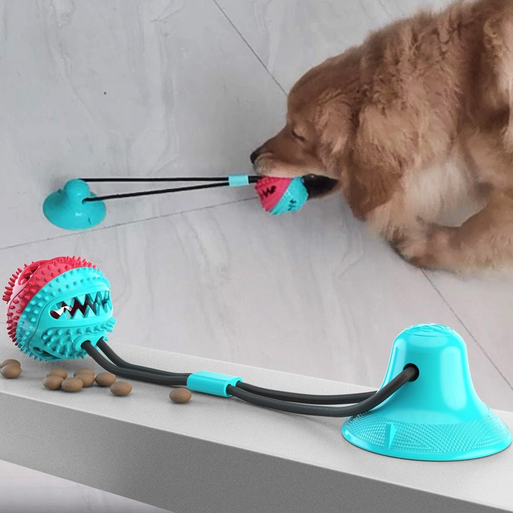 Dog Toy Push Ball Toy Leakage Food Toy Tooth Cleaning Toothbrush Toy - Best Buddy Store