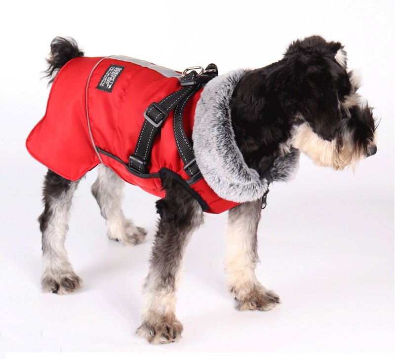 Dog Waterproof Coat Winter Jacket With Harness - Best Buddy Store