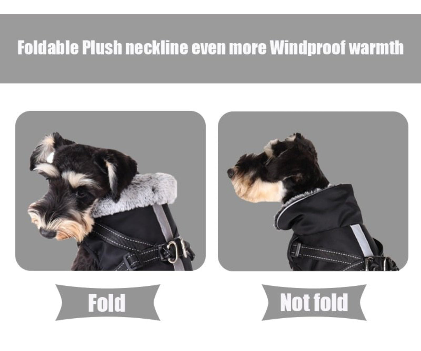 Dog Waterproof Coat Winter Jacket With Harness - Best Buddy Store