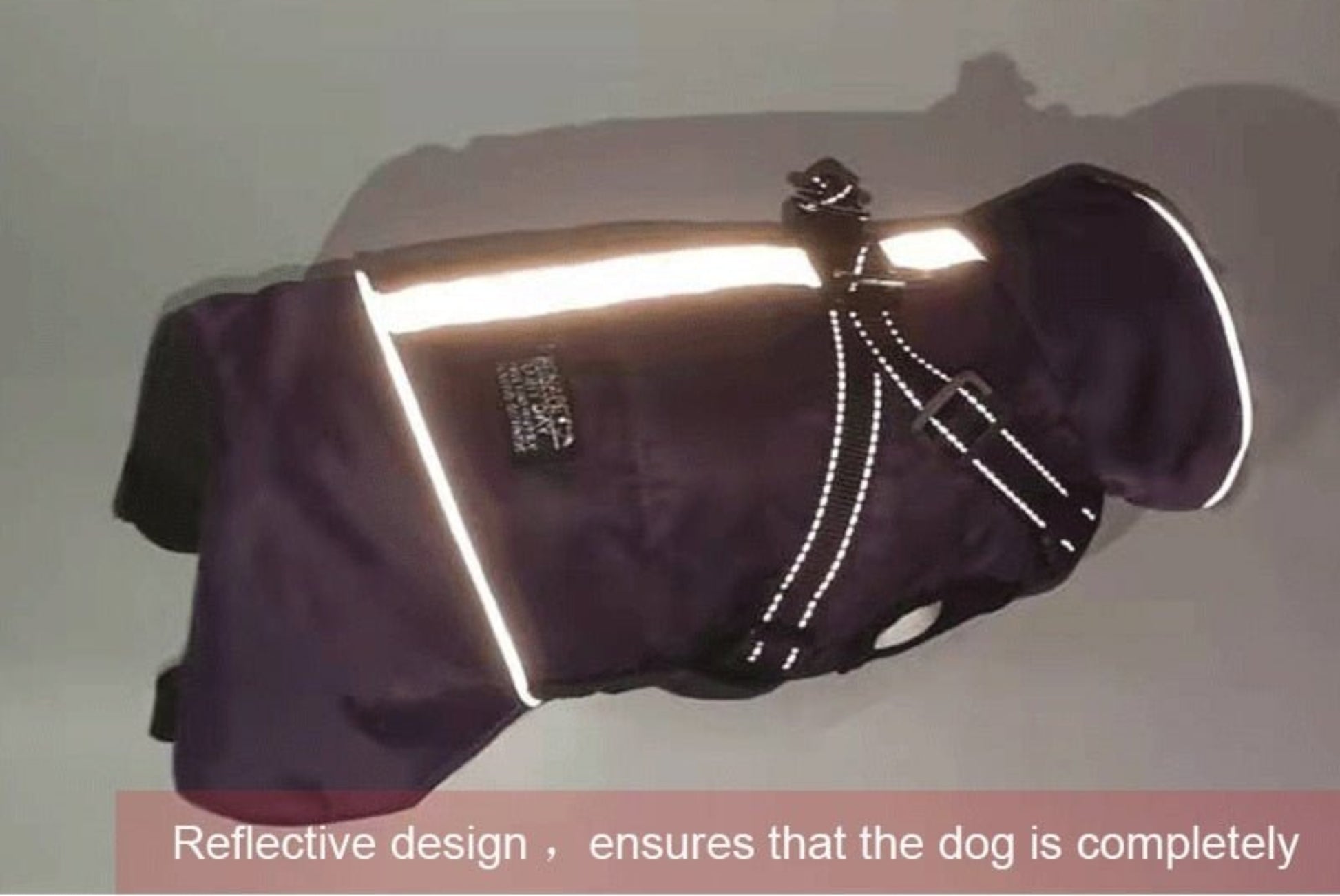 Dog Waterproof Coat Winter Jacket With Harness - Best Buddy Store