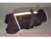 Dog Waterproof Coat Winter Jacket With Harness - Best Buddy Store