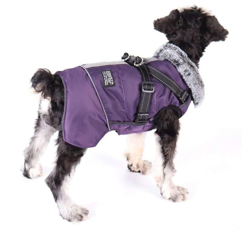 Dog Waterproof Coat Winter Jacket With Harness - Best Buddy Store