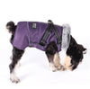 Dog Waterproof Coat Winter Jacket With Harness - Best Buddy Store