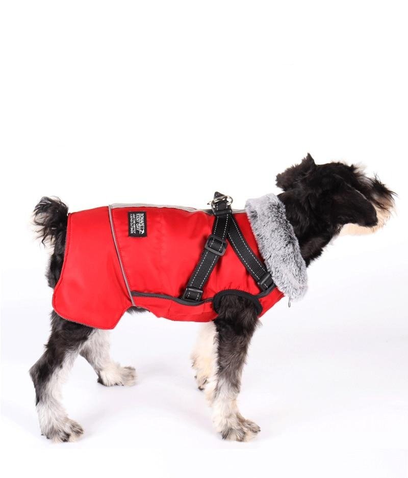 Dog Waterproof Coat Winter Jacket With Harness - Best Buddy Store