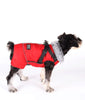 Dog Waterproof Coat Winter Jacket With Harness - Best Buddy Store