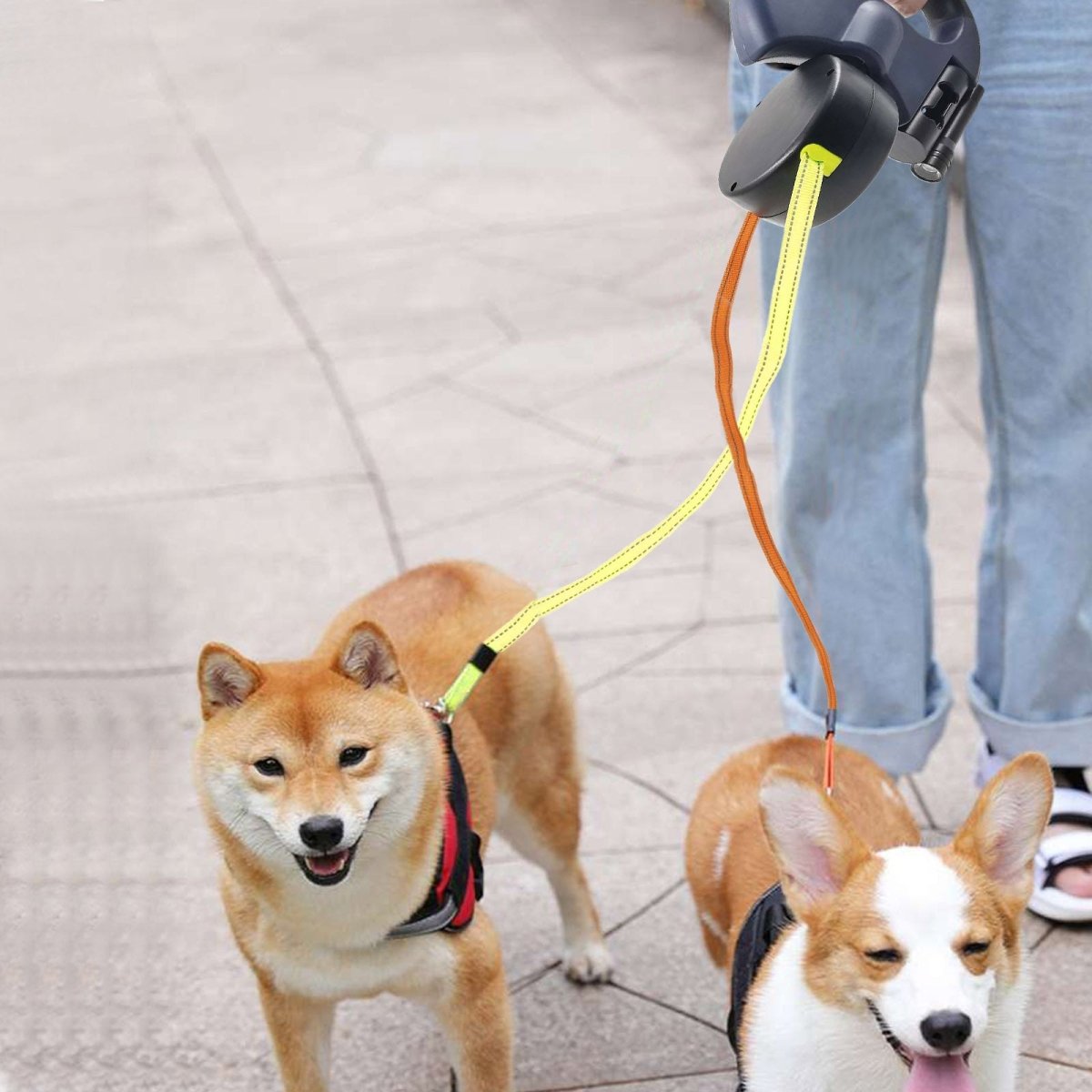 Dual Retractable Double Head Dog Leash No Tangle - Best Buddy Store